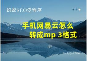 手机网易云怎么转成mp 3格式