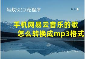 手机网易云音乐的歌怎么转换成mp3格式