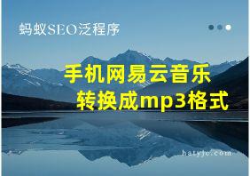 手机网易云音乐转换成mp3格式