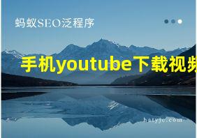 手机youtube下载视频