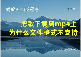 把歌下载到mp4上为什么文件格式不支持