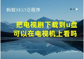 把电视剧下载到u盘可以在电视机上看吗