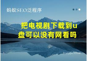 把电视剧下载到u盘可以没有网看吗