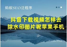 抖音下载视频怎样去除水印图片呢苹果手机