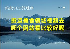 搬运美食领域视频去哪个网站看比较好呢