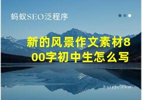 新的风景作文素材800字初中生怎么写