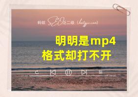 明明是mp4格式却打不开