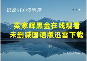 梁家辉黑金在线观看未删减国语版迅雷下载