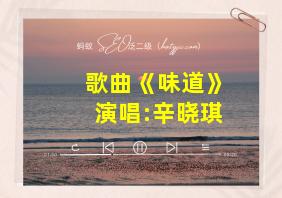 歌曲《味道》演唱:辛晓琪