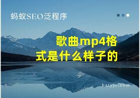 歌曲mp4格式是什么样子的