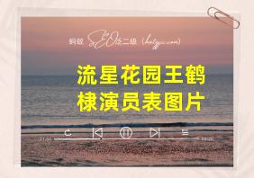 流星花园王鹤棣演员表图片