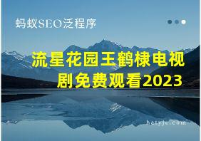 流星花园王鹤棣电视剧免费观看2023