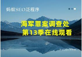 海军罪案调查处第13季在线观看