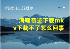 海啸奇迹下载mkv下载不了怎么回事