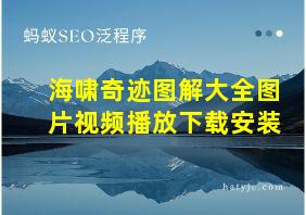 海啸奇迹图解大全图片视频播放下载安装