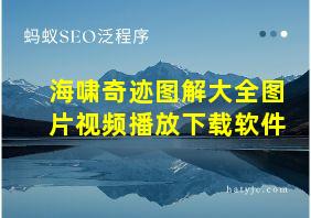 海啸奇迹图解大全图片视频播放下载软件