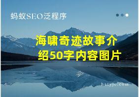 海啸奇迹故事介绍50字内容图片