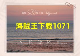 海贼王下载1071