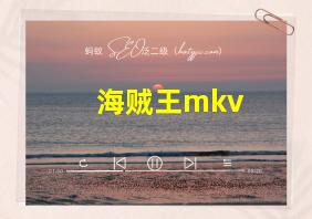 海贼王mkv