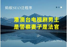 港澳台电视剧男主是警察妻子是法官