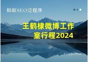 王鹤棣微博工作室行程2024