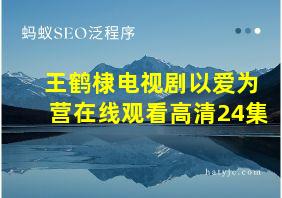 王鹤棣电视剧以爱为营在线观看高清24集