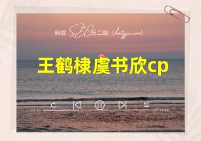 王鹤棣虞书欣cp