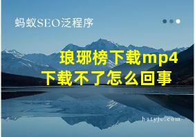 琅琊榜下载mp4下载不了怎么回事