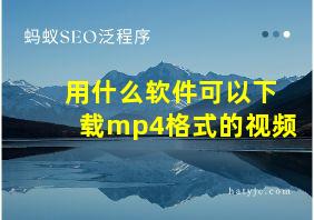 用什么软件可以下载mp4格式的视频