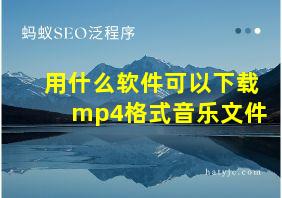 用什么软件可以下载mp4格式音乐文件