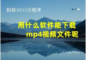 用什么软件能下载mp4视频文件呢