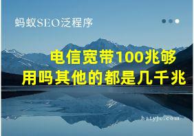 电信宽带100兆够用吗其他的都是几千兆