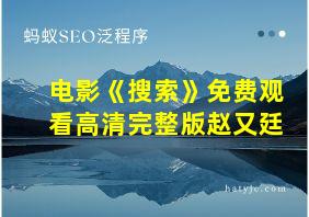 电影《搜索》免费观看高清完整版赵又廷