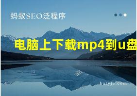 电脑上下载mp4到u盘