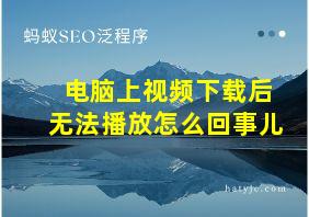 电脑上视频下载后无法播放怎么回事儿