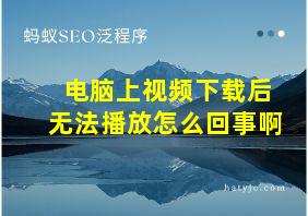 电脑上视频下载后无法播放怎么回事啊