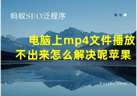 电脑上mp4文件播放不出来怎么解决呢苹果