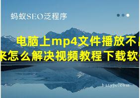 电脑上mp4文件播放不出来怎么解决视频教程下载软件