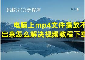 电脑上mp4文件播放不出来怎么解决视频教程下载