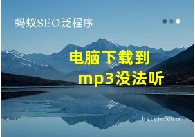 电脑下载到mp3没法听