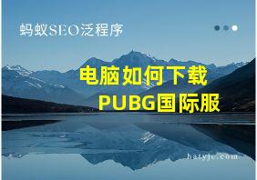 电脑如何下载PUBG国际服