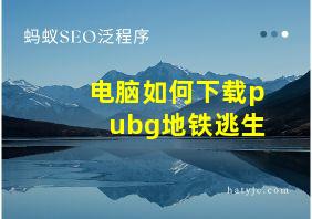 电脑如何下载pubg地铁逃生