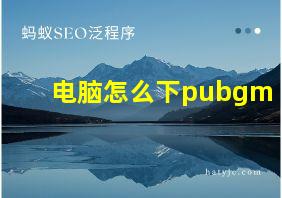 电脑怎么下pubgm