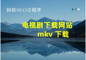 电视剧下载网站 mkv 下载