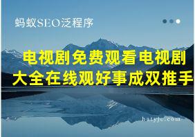 电视剧免费观看电视剧大全在线观好事成双推手