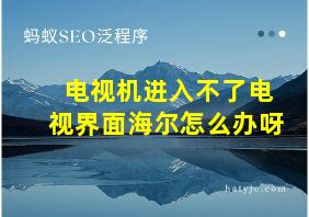 电视机进入不了电视界面海尔怎么办呀