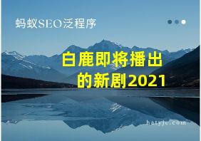 白鹿即将播出的新剧2021