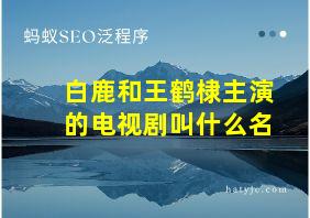 白鹿和王鹤棣主演的电视剧叫什么名