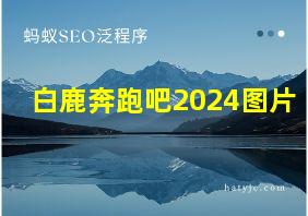 白鹿奔跑吧2024图片