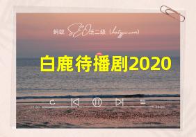 白鹿待播剧2020